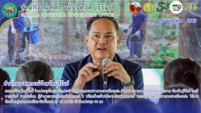 สหกรณ์จังหวัดบุรีรัมย์ ... พารามิเตอร์รูปภาพ 1